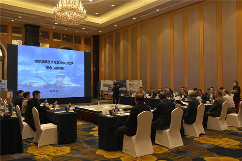 哈爾濱新區(qū)文化藝術(shù)中心項目建設(shè)邁出重要步伐 規(guī)劃設(shè)計招標圓滿完成，文化藝術(shù)交流活動蓄勢待發(fā)